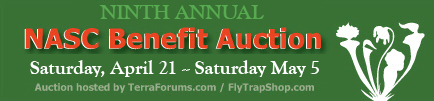 NASC-auction-2012